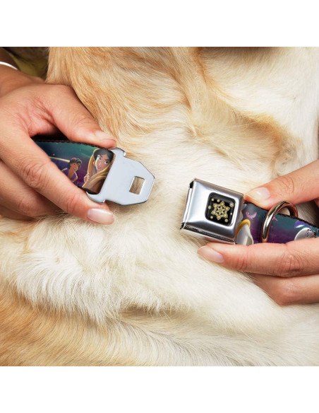 Collar de Perro Buckle-Down Disney Aladino y Jasmine 45-81 cm