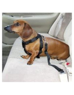 Arnés de Seguridad para Perros HDP Negro Ajustable 30-71 cm