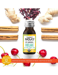 Shots de Bienestar Orgánicos Teaonic - Paquete Variado 12x59ml 2