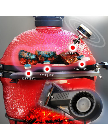 ProTemp S1 Termómetro Inteligente Wi-Fi y Bluetooth ChefsTemp