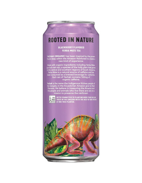 Bebida de Yerba Mate Orgánica Yachak Sabor Mora - 12 Latas 473ml