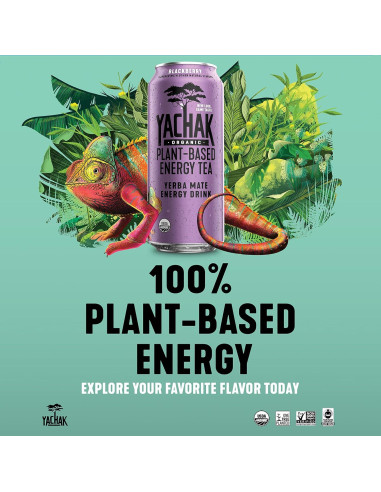 Bebida de Yerba Mate Orgánica Yachak Sabor Mora - 12 Latas 473ml