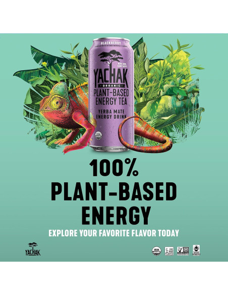Bebida de Yerba Mate Orgánica Yachak Sabor Mora - 12 Latas 473ml