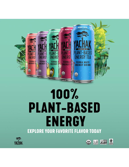 Bebida de Yerba Mate Orgánica Yachak Sabor Mora - 12 Latas 473ml