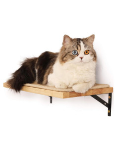 Estantería para Gatos FUKUMARU 40 x 25 cm Madera con Sisal