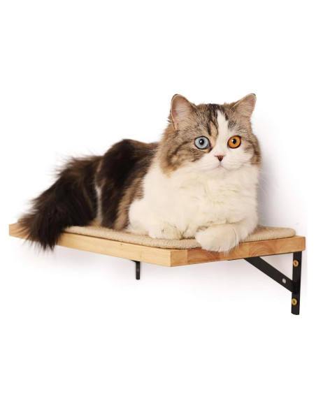 Estantería para Gatos FUKUMARU 40 x 25 cm Madera con Sisal