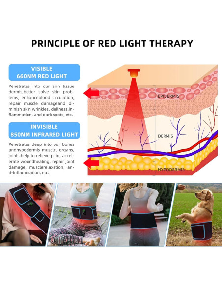 Cinturón de Terapia de Luz Roja Feangli Inalámbrico 660nm 850nm