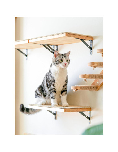 Estantería para Gatos FUKUMARU 40 x 25 cm Madera con Sisal