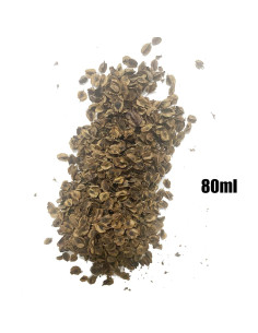 Hojas Miniatura Realistas Cayway para Diorama Jardín 80ml 2