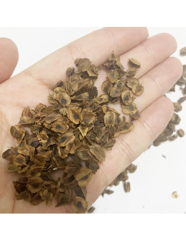 Hojas Miniatura Realistas Cayway para Diorama Jardín 80ml