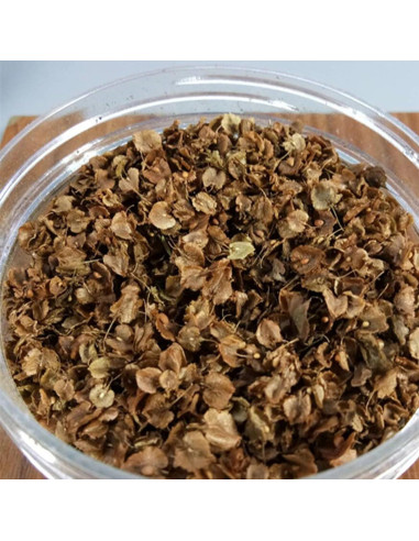 Hojas Miniatura Realistas Cayway para Diorama Jardín 80ml