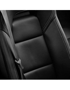 Cuidado del Cuero Protectante Armor All - Paquete de 6 x 473 ml 2