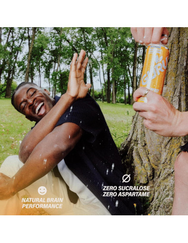 Bebida Energética Orgánica Guru Guayusa 355ml Lata