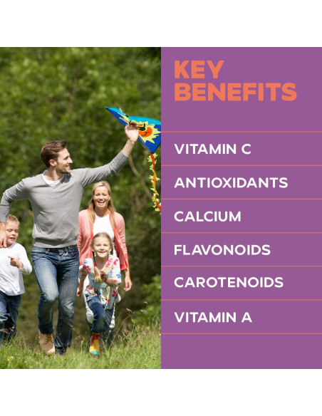 Polvo de Naranja Orgánico Drybox 200g - Sin Azúcar Añadido