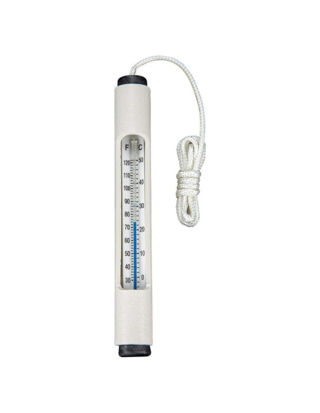 Termómetro de piscina Pentair R141046 30.48 cm analógico
