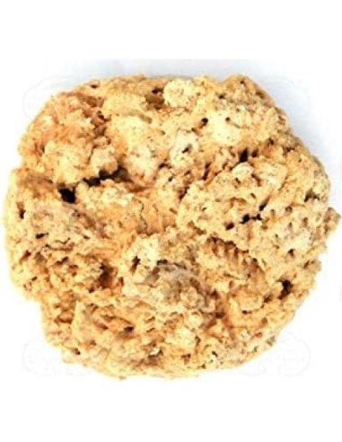 Cápsulas de Placenta de Cabra Dragon Herbs 500 mg - 60 Unidades