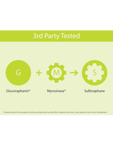 Cápsulas de Brote de Brócoli Orgánico KOYAH - 60 Unidades