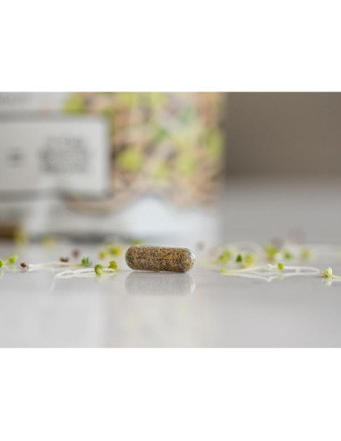 Cápsulas de Brote de Brócoli Orgánico KOYAH - 60 Unidades