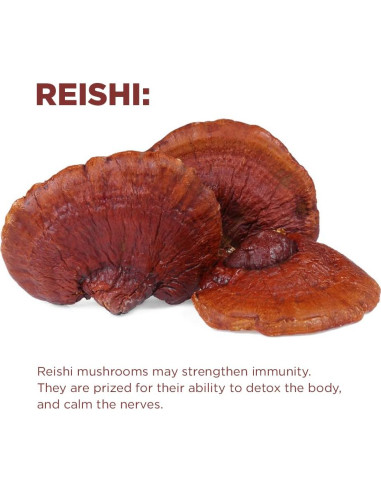 Café de Hongo Cognitivo Orgánico Terrasoul 404.3 g - 30 Porciones