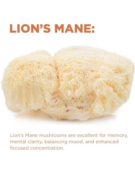 Café de Hongo Cognitivo Orgánico Terrasoul 404.3 g - 30 Porciones