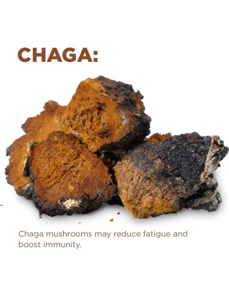 Café de Hongo Cognitivo Orgánico Terrasoul 404.3 g - 30 Porciones