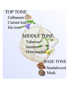 Aceite de Difusor BAIESHIJI 100 ml - Fragancia Navidad Pura 2