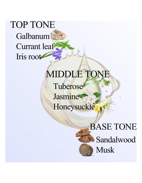 Aceite de Difusor BAIESHIJI 100 ml - Fragancia Navidad Pura