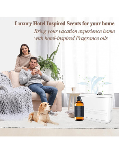 Aceite de Difusor BAIESHIJI 100 ml - Fragancia Navidad Pura