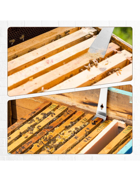 Juego de 3 Palancas de Acero Inoxidable para Apicultura