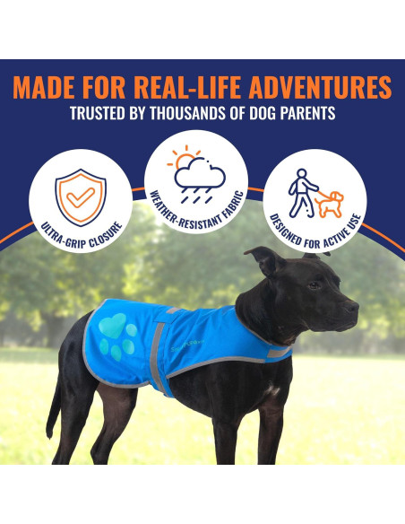Chaleco Reflectante SafetyPUP XD Azul XL para Perros Grandes