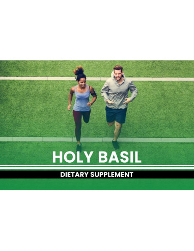 Cápsulas de Albahaca Sagrada Ingredientes Originales Puros 365 Unidades