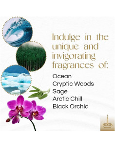 Incienso Aromático Gonesh - Variedad 5 Paquetes 20 Varitas 2