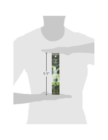 Incienso Auroshikha Frangipani Champa 10g Natural