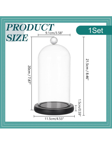 Campana de Vidrio Cloche PH PandaHall 21.5x11.5 cm Decorativa