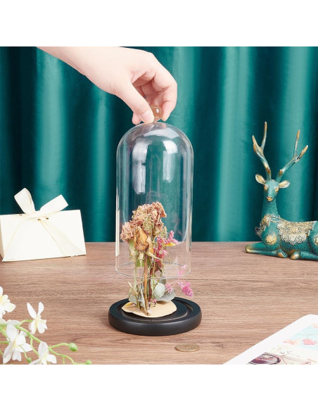 Campana de Vidrio Cloche PH PandaHall 21.5x11.5 cm Decorativa