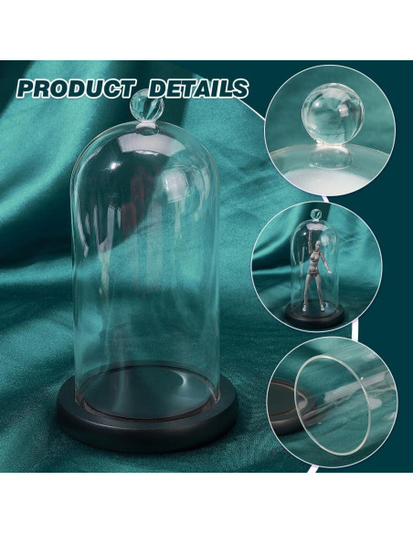 Campana de Vidrio Cloche PH PandaHall 21.5x11.5 cm Decorativa