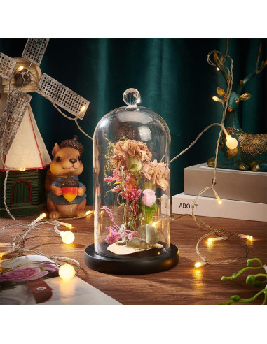 Campana de Vidrio Cloche PH PandaHall 21.5x11.5 cm Decorativa