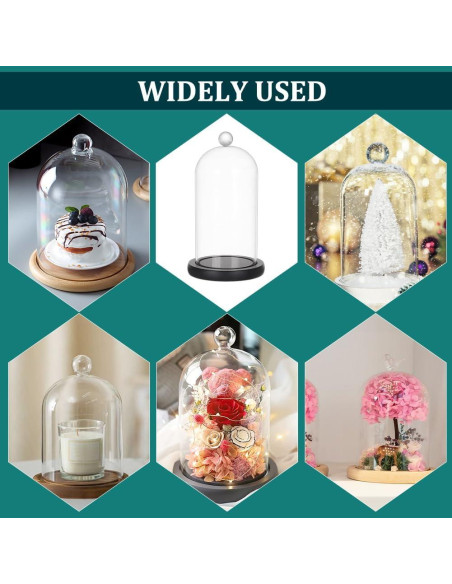 Campana de Vidrio Cloche PH PandaHall 21.5x11.5 cm Decorativa