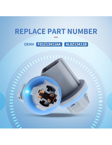 Zócalo de Luz de Placa Stacool para Ford F-150 2004-2021