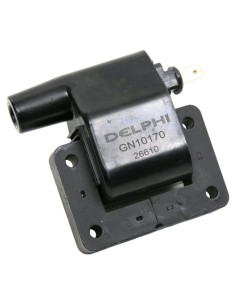 Bobina de Encendido Delphi GN10170 para Coche y Camión