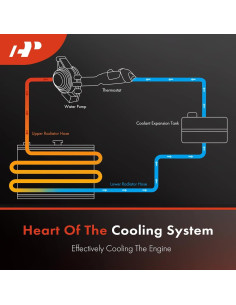 Manguera de Refrigerante Radiador A-Premium para Mercedes-Benz 2