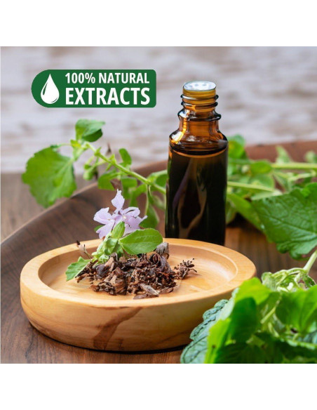 Dhoop de Canela 100% Natural Bendición Internacional - 20 Palos