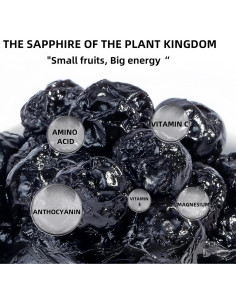 Arándanos Azules Secos SYZJMWDY 200g Sin Azúcar Natural 2