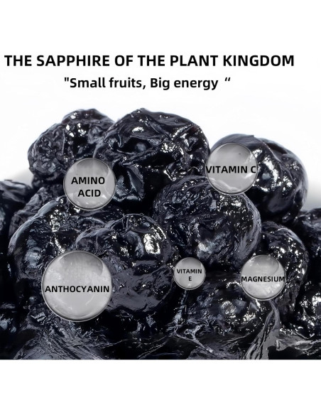 Arándanos Azules Secos SYZJMWDY 200g Sin Azúcar Natural