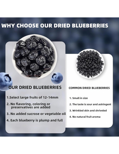 Arándanos Azules Secos SYZJMWDY 200g Sin Azúcar Natural