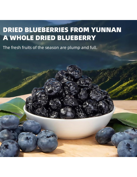 Arándanos Azules Secos SYZJMWDY 200g Sin Azúcar Natural