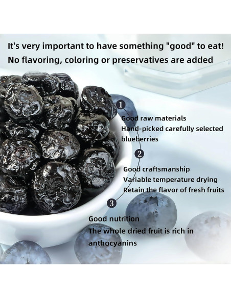 Arándanos Azules Secos SYZJMWDY 200g Sin Azúcar Natural