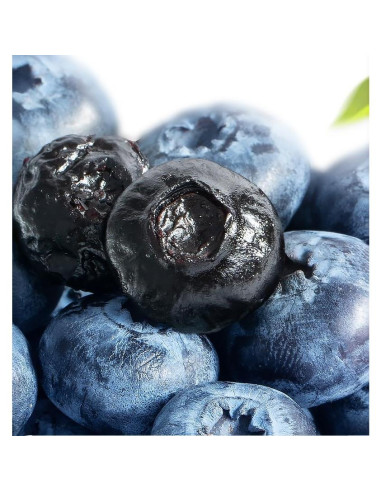 Arándanos Azules Secos SYZJMWDY 200g Sin Azúcar Natural