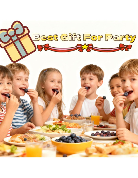 Arándanos Azules Secos SYZJMWDY 200g Sin Azúcar Natural