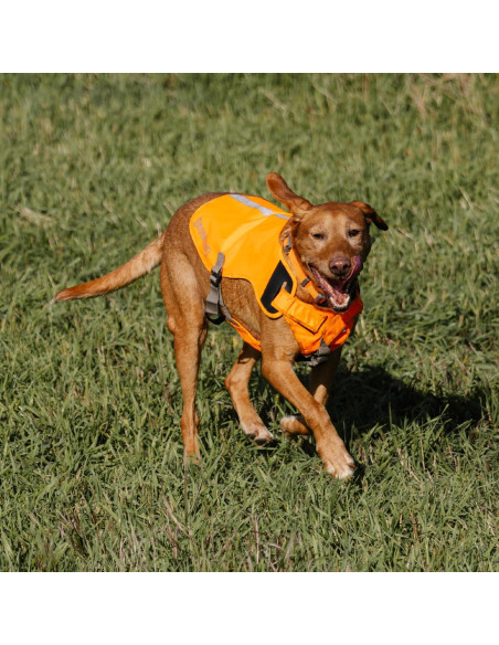 Chaleco de Seguridad para Perros Browning Grande Naranja